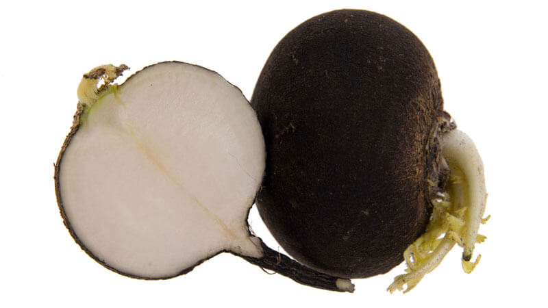 The difference between turnips and radishes and radishes