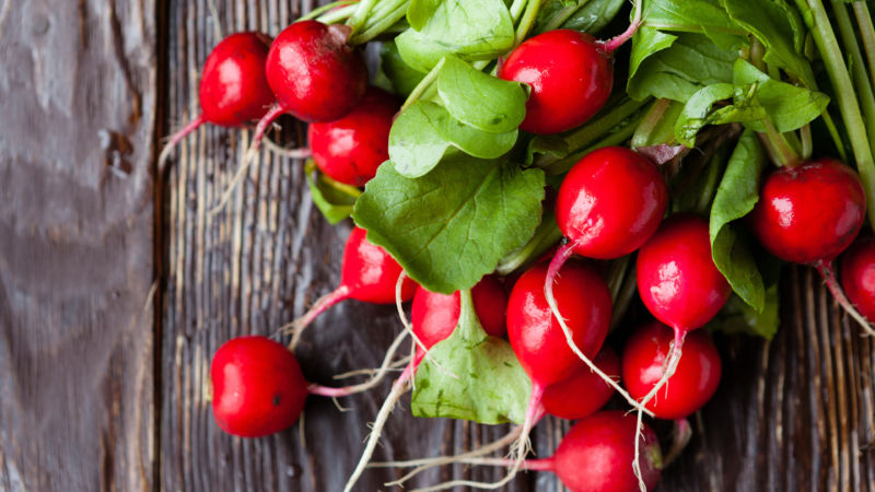 The difference between turnips and radishes and radishes
