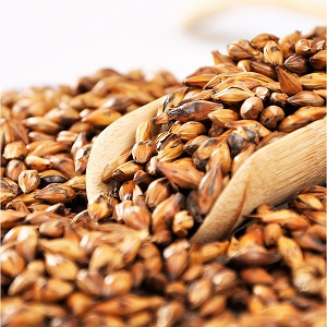 The benefits and harms of barley drinks - coffee, decoctions