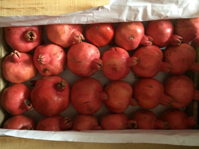 How to properly store pomegranate at home