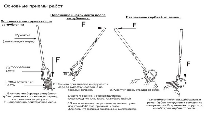 The advantages of a manual potato digger and how to do it yourself