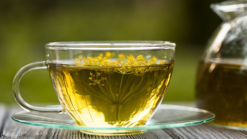 The most effective dill tincture recipes