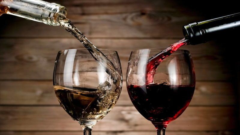 Heat-loving high-yielding grape variety Garnacha (Grenache)