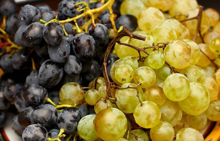 What French and Kuban grape varieties are used to make cognac