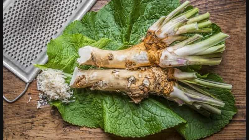 Uses of horseradish leaves and their health and beauty benefits