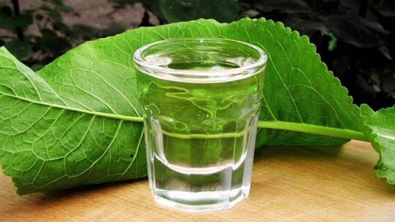 Uses of horseradish leaves and their health and beauty benefits