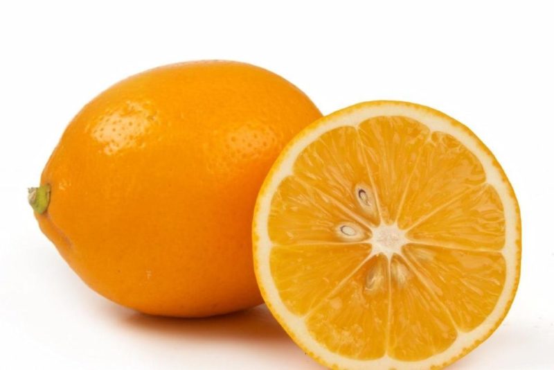 Uzbek lemon - differences and features of cultivation