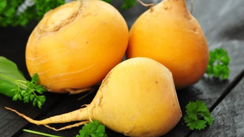 What is the Difference Between Rutabaga and Turnip