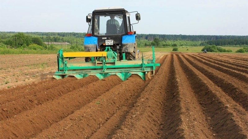 Potato cultivation machines - features of agricultural machinery