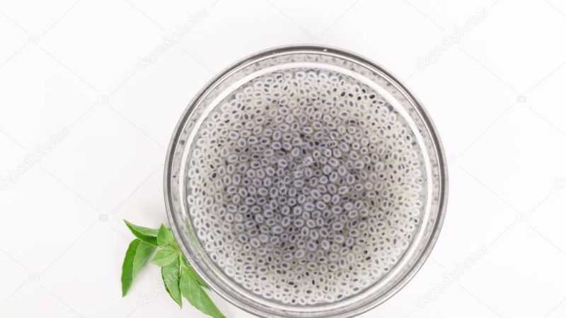 Is basil seed soaking required before planting and how to do it right