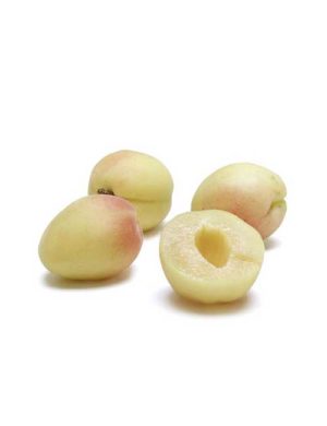 Variety of apricot varieties for different regions