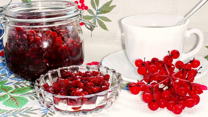 Is it possible to dry viburnum and how to do it at home