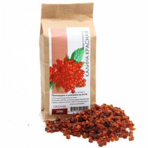 Is it possible to dry viburnum and how to do it at home