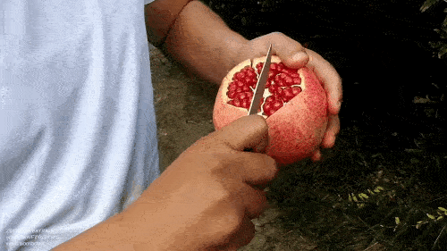 Pomegranate - norms of use per day, is it possible to eat with seeds