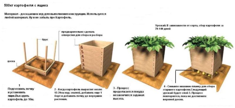 New ways of planting potatoes and care features