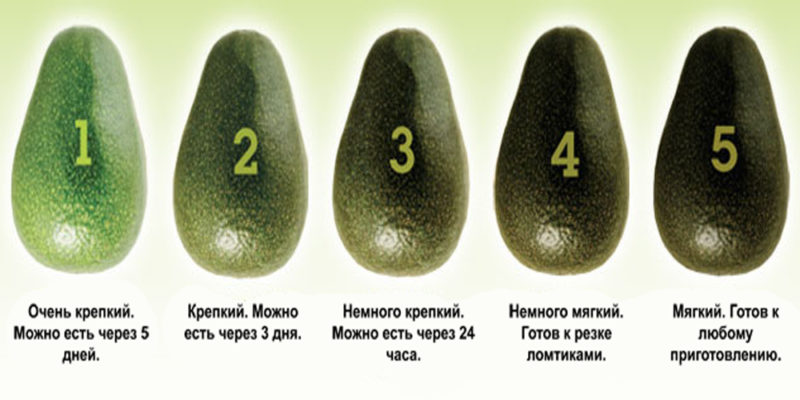 The best ways to ripen an avocado at home quickly and easily