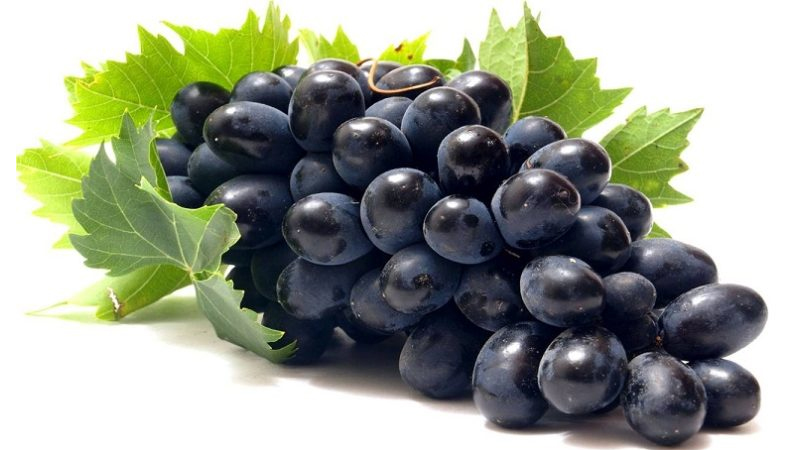 Variety of dark grape varieties