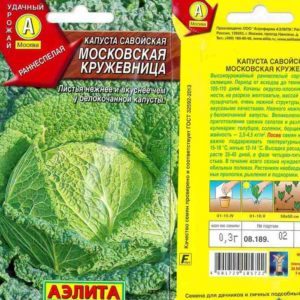 Description, cultivation, popular varieties of savoy cabbage