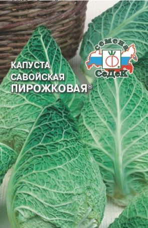 Description, cultivation, popular varieties of savoy cabbage