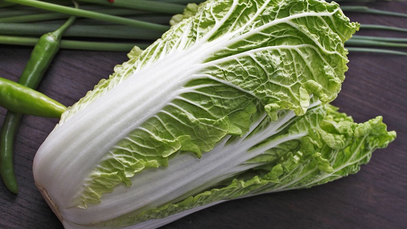 Varieties and types of cabbage with photos and descriptions