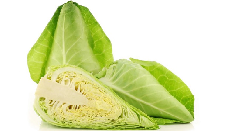 Varieties and types of cabbage with photos and descriptions