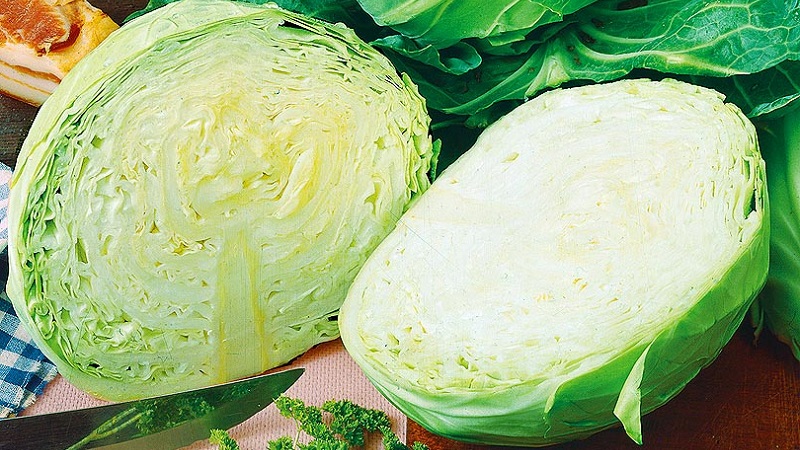 Varieties and types of cabbage with photos and descriptions