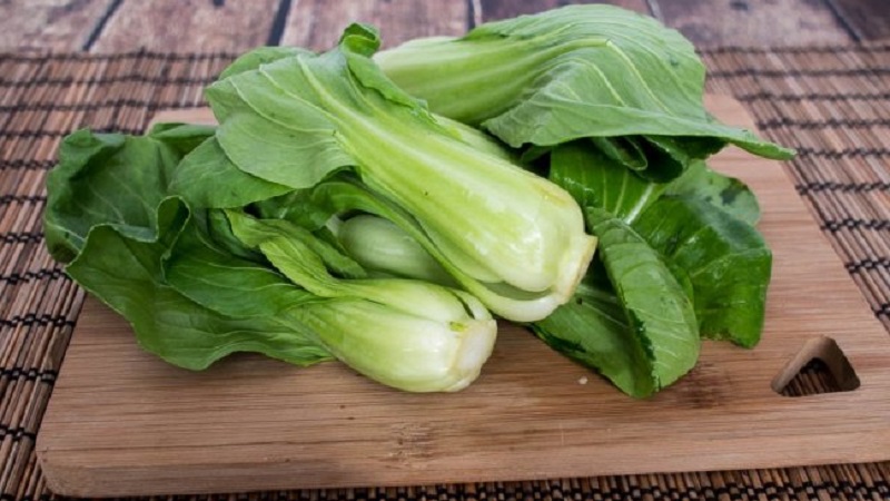 Varieties and types of cabbage with photos and descriptions