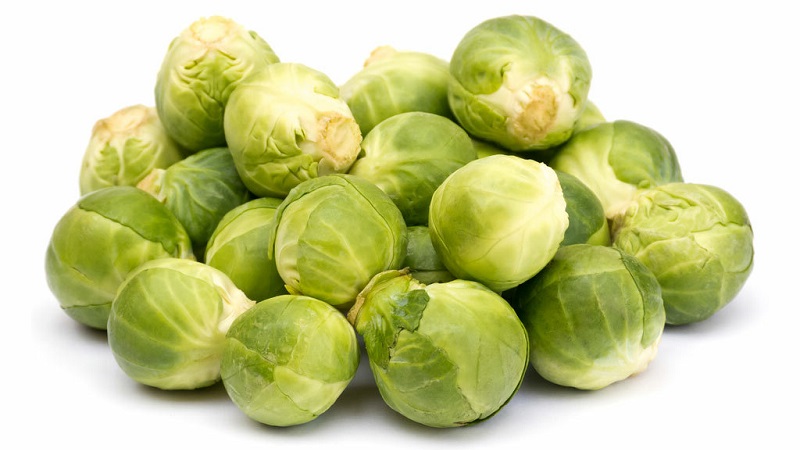 Varieties and types of cabbage with photos and descriptions