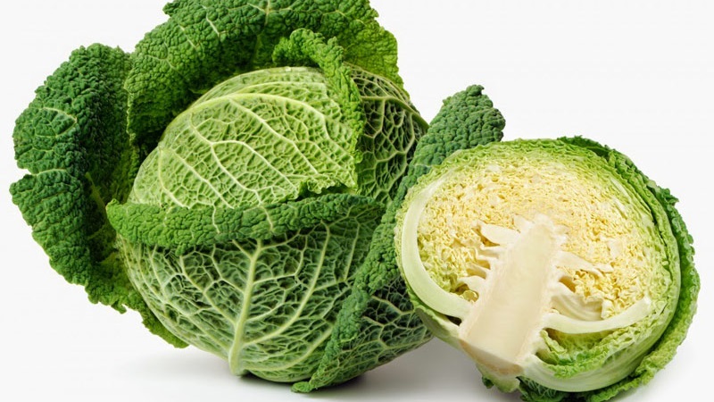 Varieties and types of cabbage with photos and descriptions