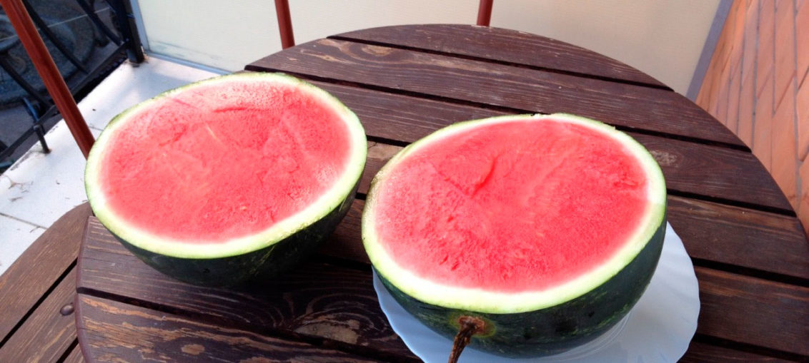 What is good about a watermelon without seeds, what varieties are there and how to grow it