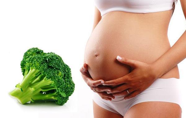 Is it possible to eat broccoli during pregnancy, in what form and quantity