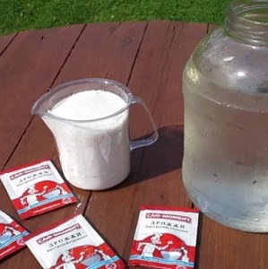 Instructions for processing raspberries in the summer from diseases and pests