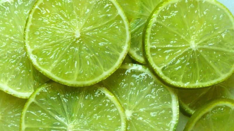 What is lime - what is it and how it grows