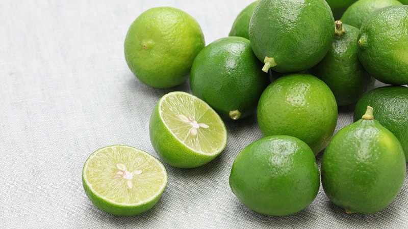What is lime and how is it different from lemon