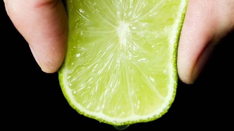 What is lime - what is it and how it grows