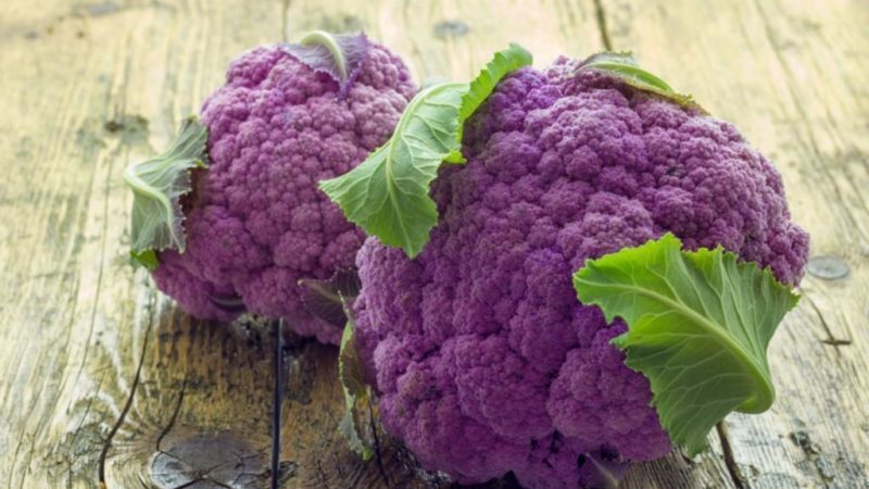 Purple cauliflower: description and photo