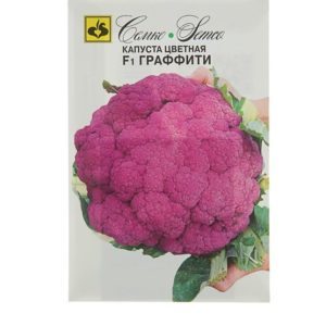 Purple cauliflower: description and photo