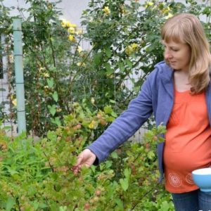 Why gooseberries are good for women
