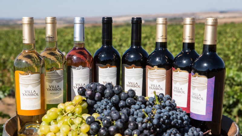 The best varieties of uncovered grapes for the Moscow region