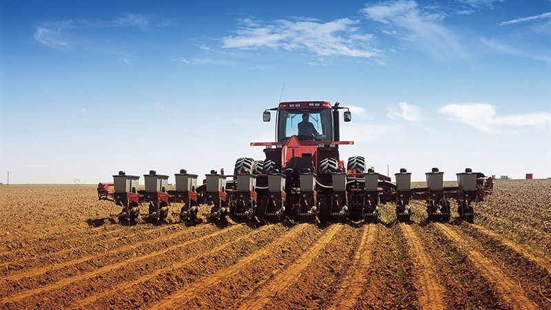 What is the seeding rate of potatoes per 1 hectare in tons and how to calculate it correctly