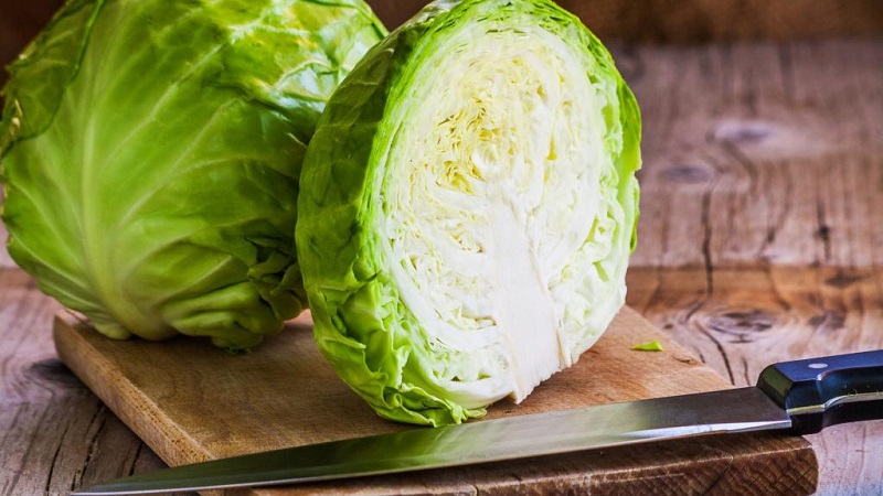 Early ripe unpretentious June cabbage variety