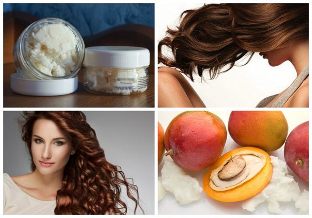 What is the harm and benefits of mango for a woman's body