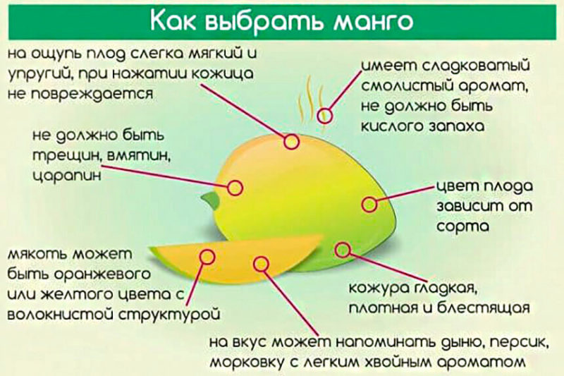 What is the harm and benefits of mango for a woman's body