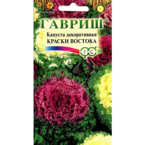 Ornamental cabbage: photo, planting, cultivation and care