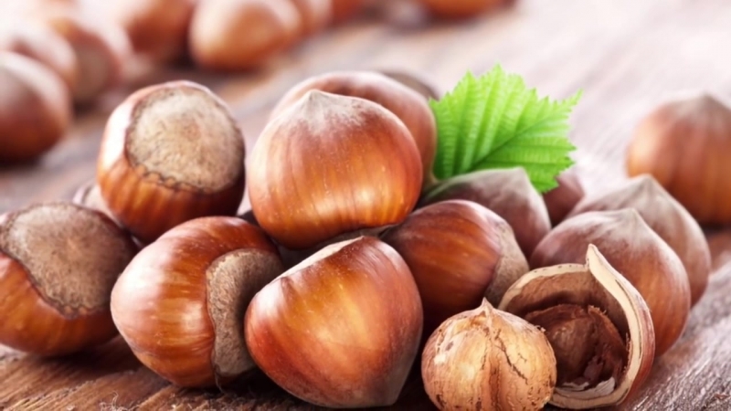 How many calories are in hazelnuts (in 100 g and in 1 piece)