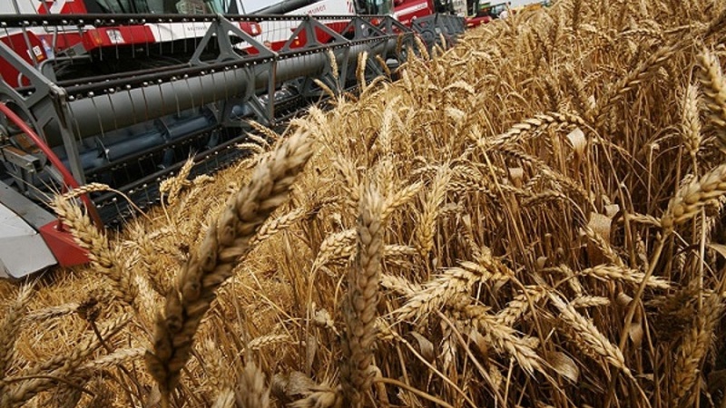List of the largest producers and exporters of wheat