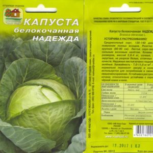 A universal mid-season cabbage variety Nadezhda