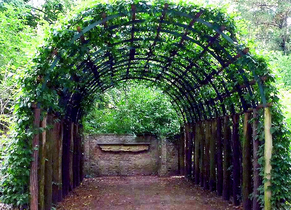 What properties should non-covering grape varieties possess and which of them are considered the best