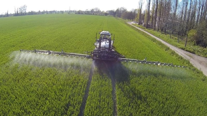 What is leaf feeding of wheat and what fertilizers can be used for these purposes