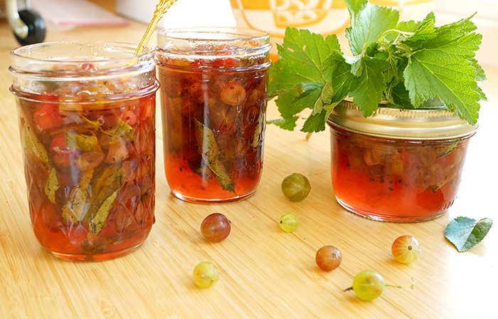 Varieties and features of growing gooseberries without thorns